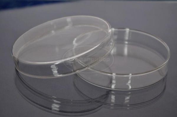 Чашка Петри стеклянная Boro 100х20 (10 шт.)