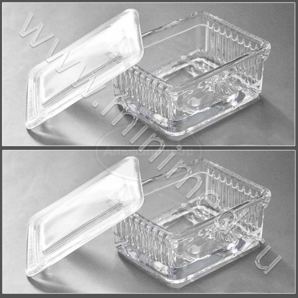 Емкость стеклянная 77*57*29 мм на 10 стекол горизонтально, упаковка 1 /50шт