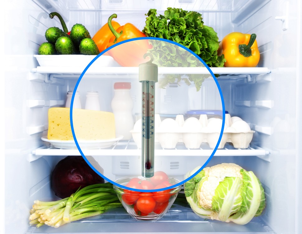 Термометр для холодильника Айсберг ТБ-225