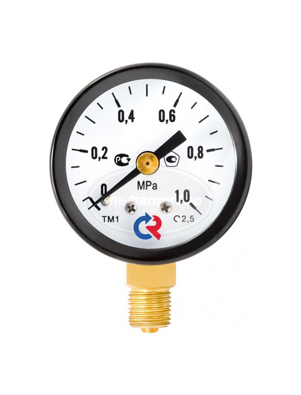 Манометр ТМ-110 (cтандартное исполнение)