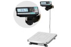 Весы с печатью этикеток ТВ-S-200.2-R2P3 Масса-К