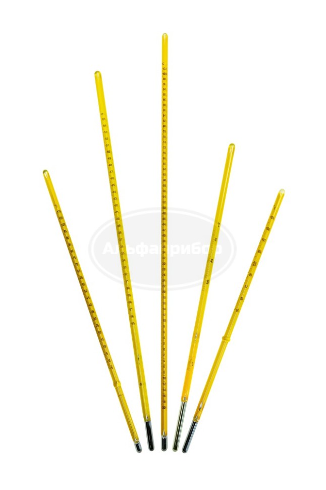 Термометр АSТМ 33С (-38...42)/0,2, Ludwig Schneider, поверка